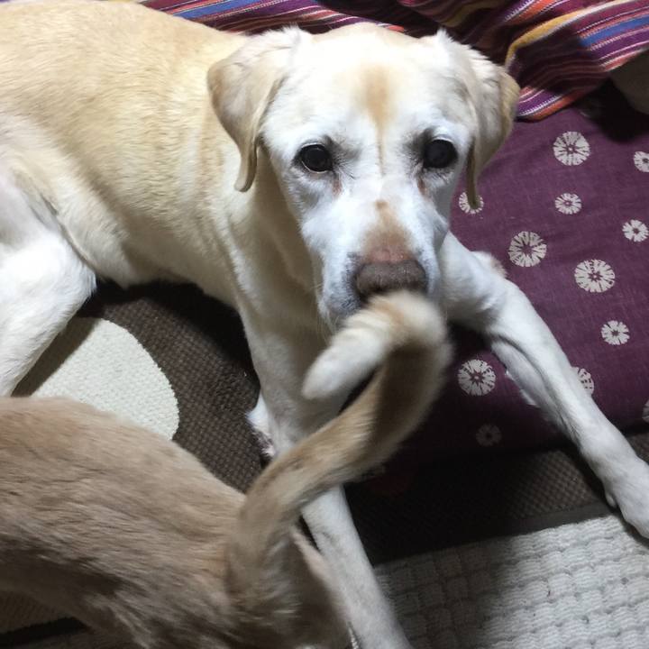 6ef27877 5e0b 463c acb1 d660df16cac1 1579605618916