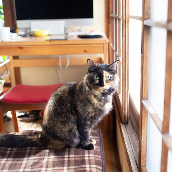 6ef280b0 f9b3 4a91 916b cb48da25e5ff 1580619120606