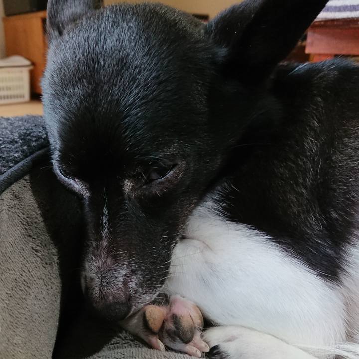 6ef28d61 20d8 4fce 9b40 55e9143e1877 1579582976718