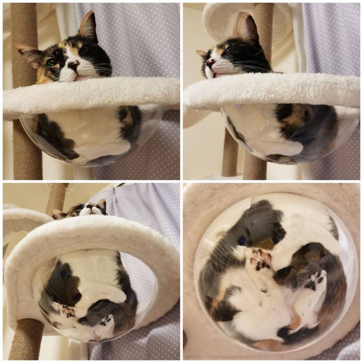 6ef2bed7 7a9e 4e1a 9c19 22259fe4d10c 1648612592084