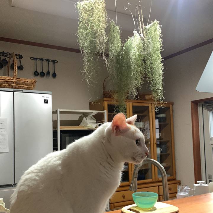 6ef2c06d ff76 44b0 8bef fd55c89883f1 1659128427423