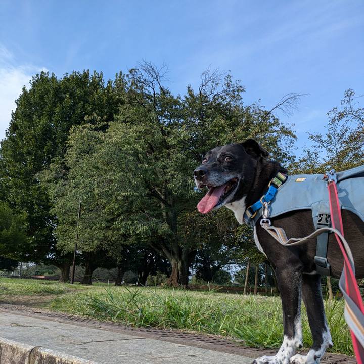 6ef2cf0a b774 40f4 b94e e9d0dc650689 1725581757800