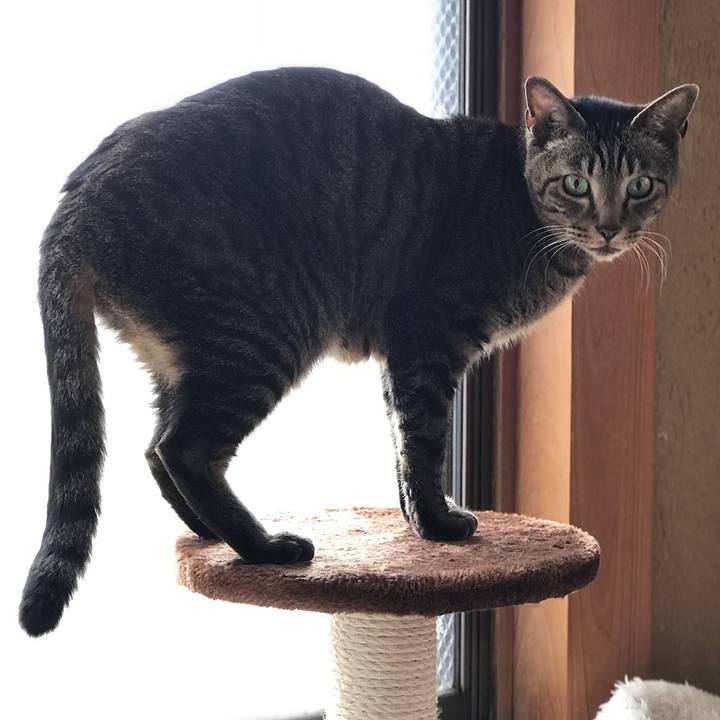 6ef2d250 6481 403c b636 52802f47b6e0 1526002197524