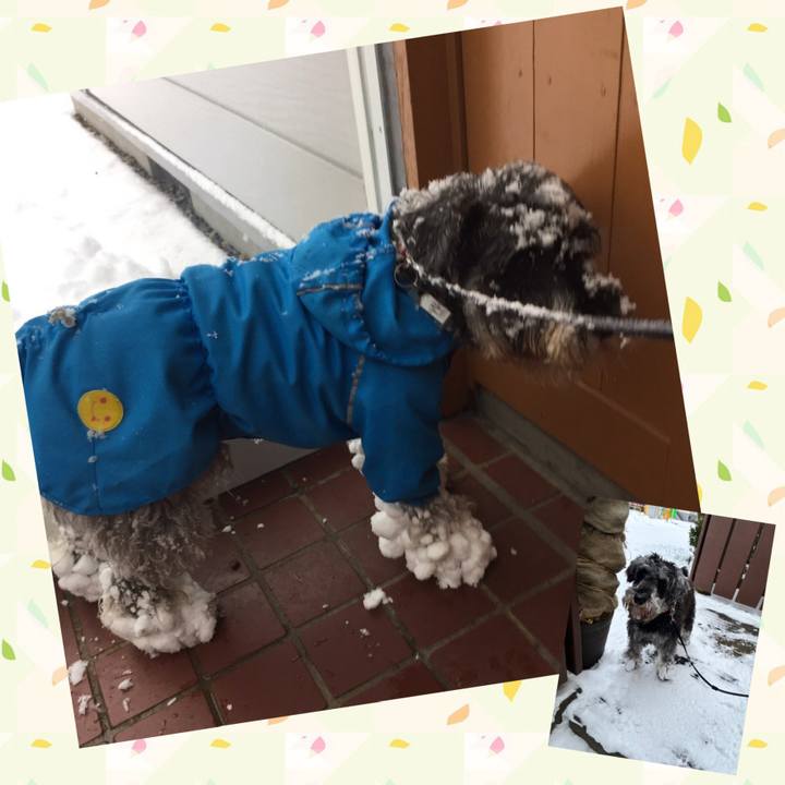 6ef2f8b9 6529 4079 a81b 154d26cd593d 1767675142186