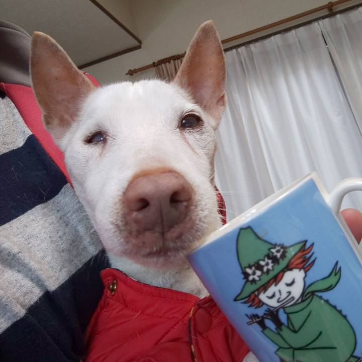 6ef2f9f4 ae7d 414c bca6 eaab6146ebe1 1560206162590