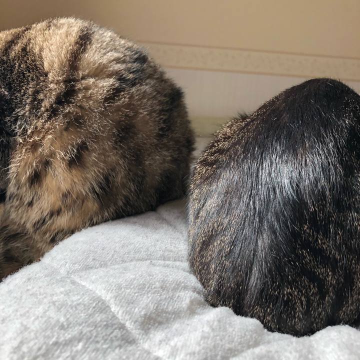 6ef34a79 fef1 4612 80aa 7eb4c1b9d003 1540020489720