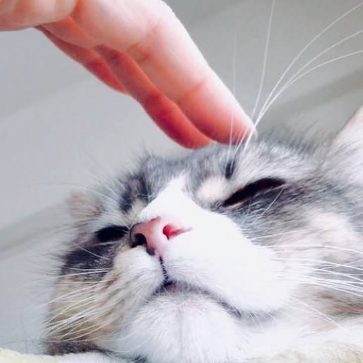 6ef38340 2950 4dbb b9f1 03cfa8989557 1753034099987