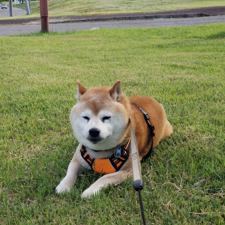 6ef3aa2c 3145 42e2 87a1 b83ae5c04773 1716018806050