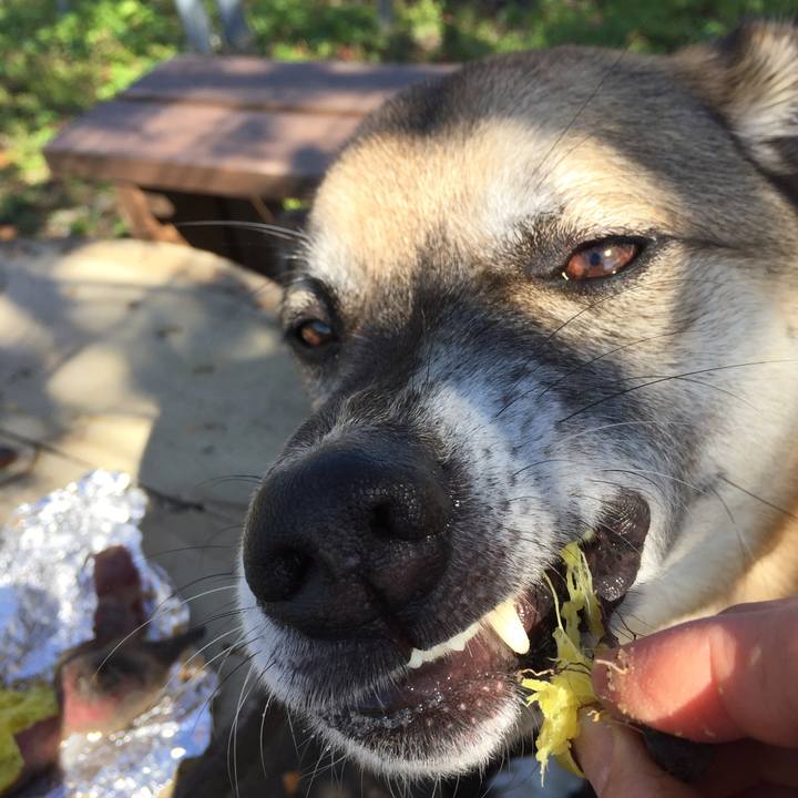 6ef3b2f0 89d5 4333 ade8 cb3ca4f4b3b7 1509520508453