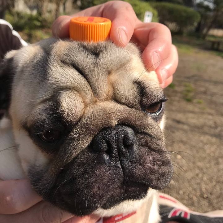 6ef3c135 74d9 4e7c a206 2dd59bb45cdd 1552096513929