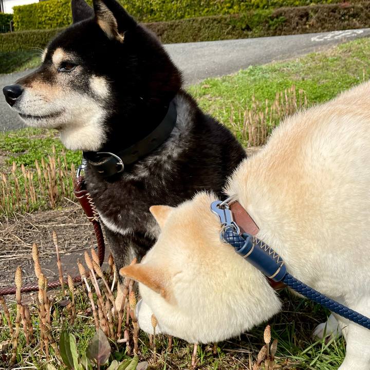 6ef3dd4e 09ea 4470 94b2 4d3b4ad2cfc0 1648203905650