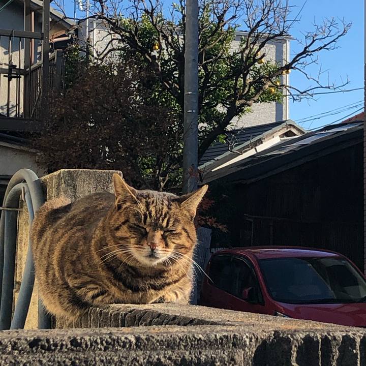 6ef441d9 1b6a 4a14 a1af fea0ec1578c4 1546657012833