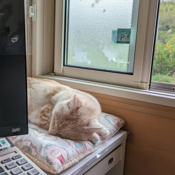 6ef443b3 bac5 4811 9437 bcf60577272b 1713833040470