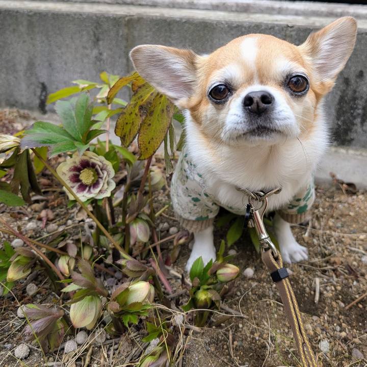 6ef44e2e c845 4f29 b24f c9e3fad89e48 1771904595996