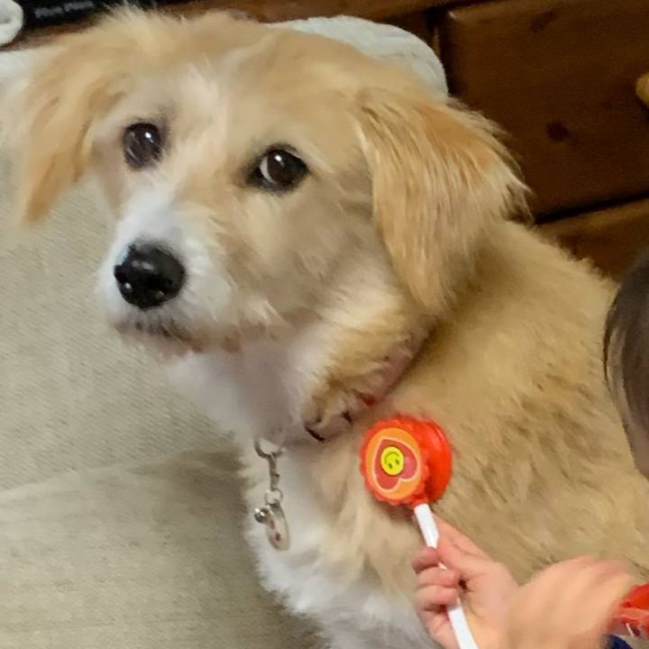 6ef45259 df58 4a49 a2d2 134411c22c0f 1574684972691