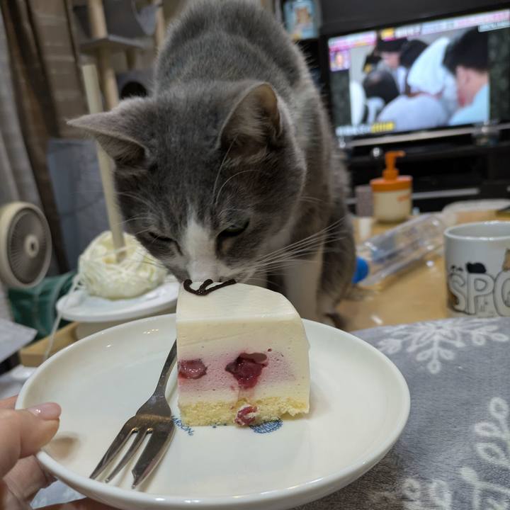 6ef47b25 9328 40b0 ade3 553c5ca9cdb4 1766663810035