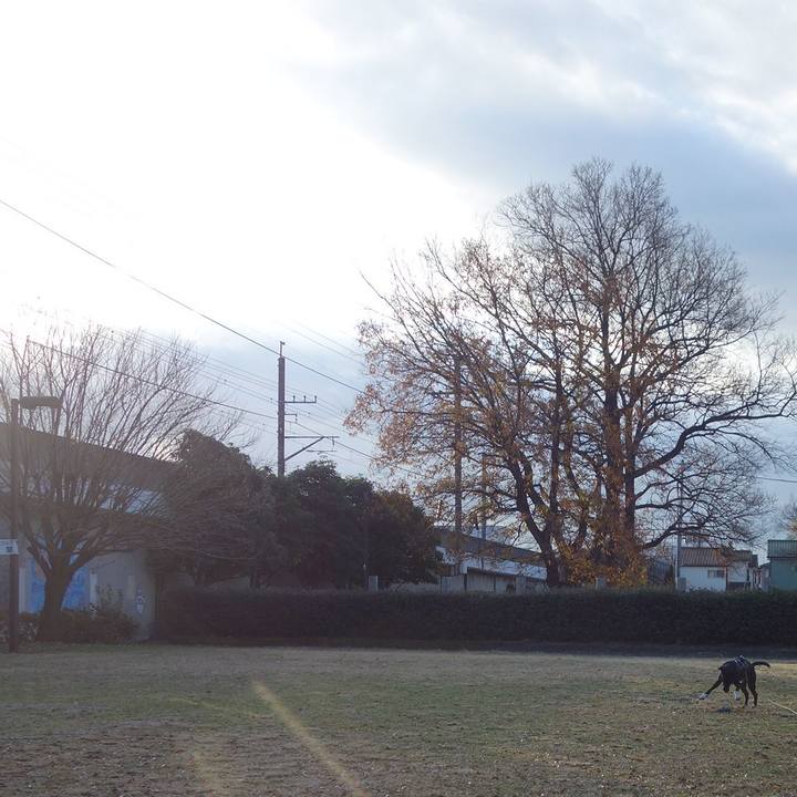 6ef48bf1 a957 4b93 a924 18d0a42dcebb 1639443297686