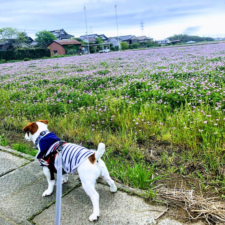 6ef4915e bc5b 441c 98c3 1786e363b5a9 1556697476103