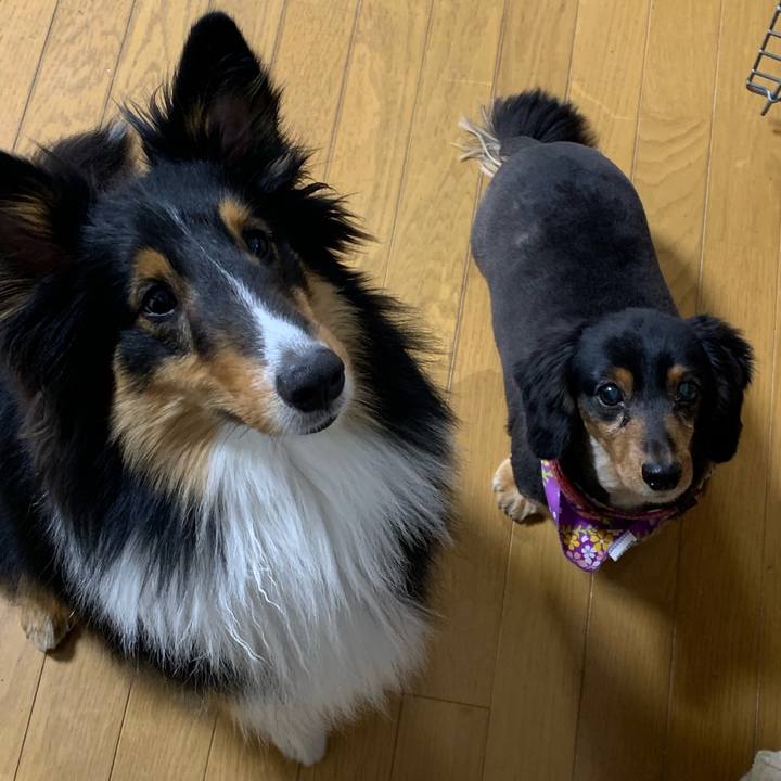 6ef4ac0c ad83 4d61 9455 9b627eae77ad 1551996046319