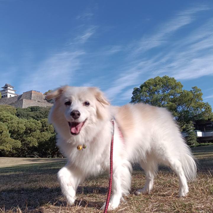 6ef4b0e9 056b 4659 a817 5f67bcf07cf6 1697957468048