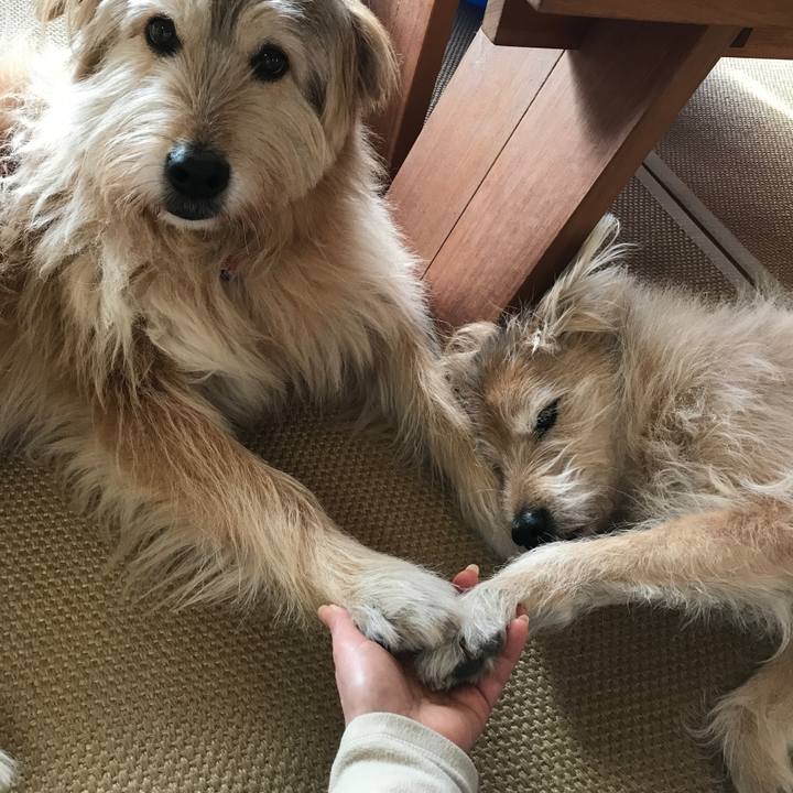 6ef4c2f0 2bee 49c9 8c60 a3731dfc50a8 1546903806187