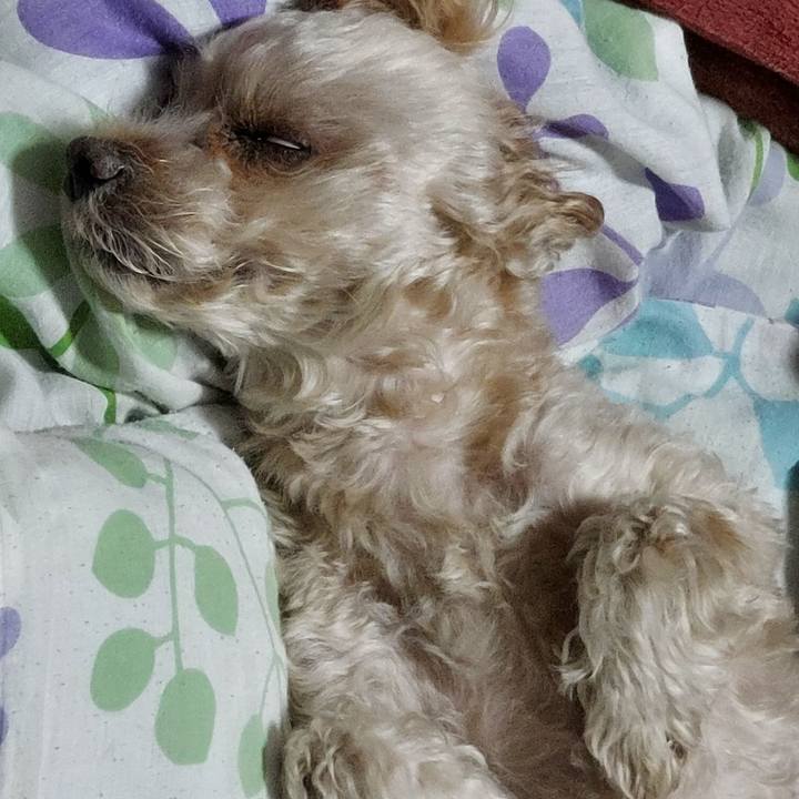 6ef53ead 71b1 4431 87be 3b122b79907e 1671711893960