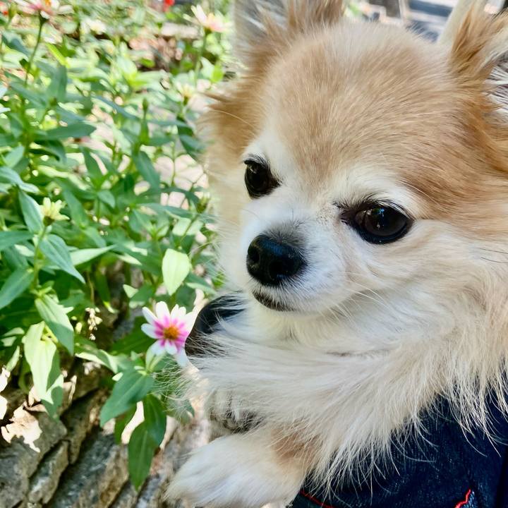 6ef56ed3 83f8 4c0a a2e2 a3b833ec3d08 1760062351557