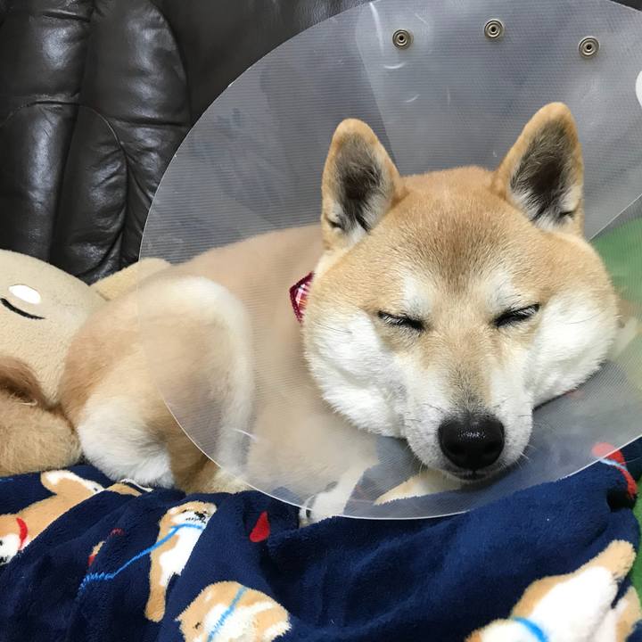 6ef5d5dd 0a6c 4d9c a9e0 2baadbc49e92 1520336435517