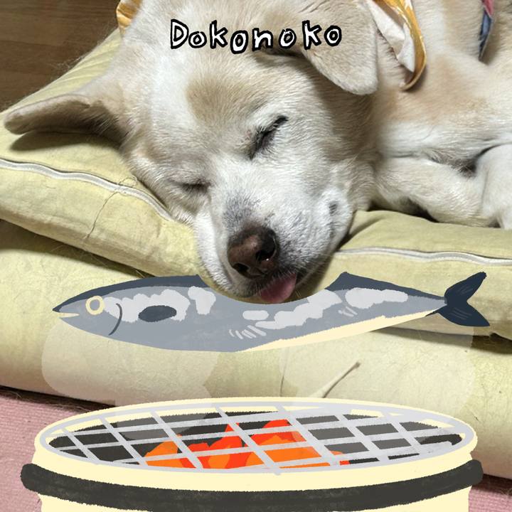 6ef5e6f8 0d82 4b10 85e2 35d2575bcce9 1761146511856