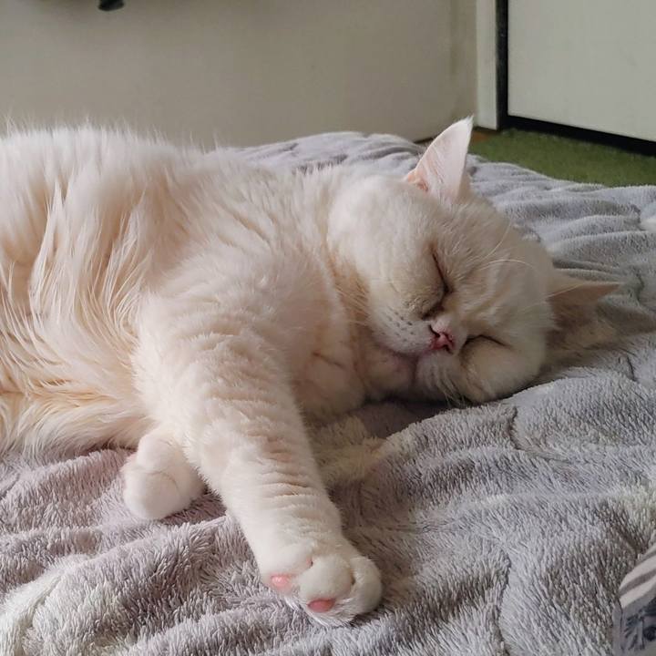 6ef6015b 6e0f 458d 9af0 39c7ef6fa4f7 1765594671940