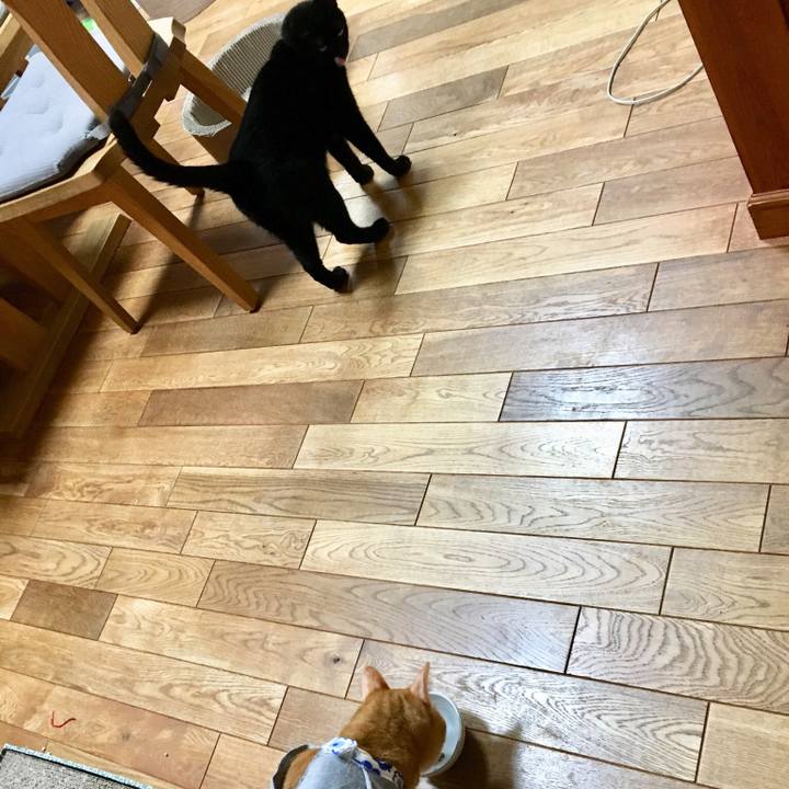 6ef60c09 8884 4093 829d c717465dd294 1530759511951