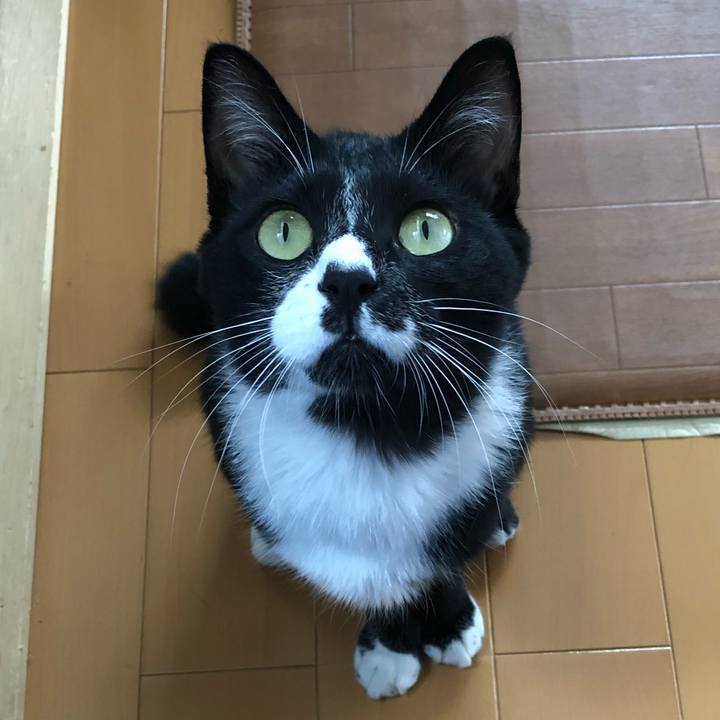 6ef61dc5 75a4 4725 95cc cd5b3ea4a5b7 1536378409624