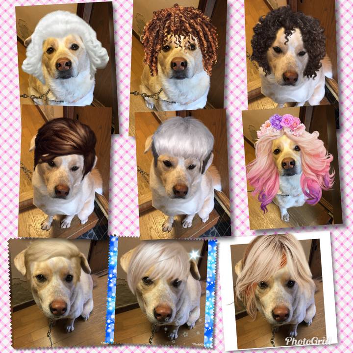 6ef62421 176c 4f9f 88e4 c6a965df7c70 1520853792493