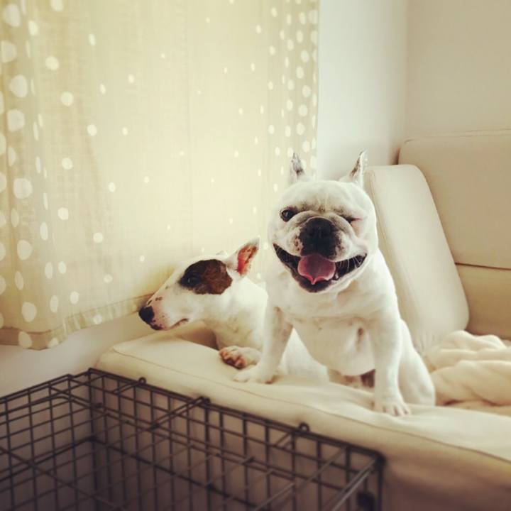 6ef68061 b1ef 4707 9f01 ba0a4672fda2 1524011881541