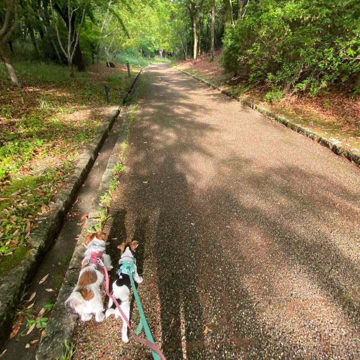 6ef69876 1fd4 4cf1 852c c694ef7bada3 1746874943548