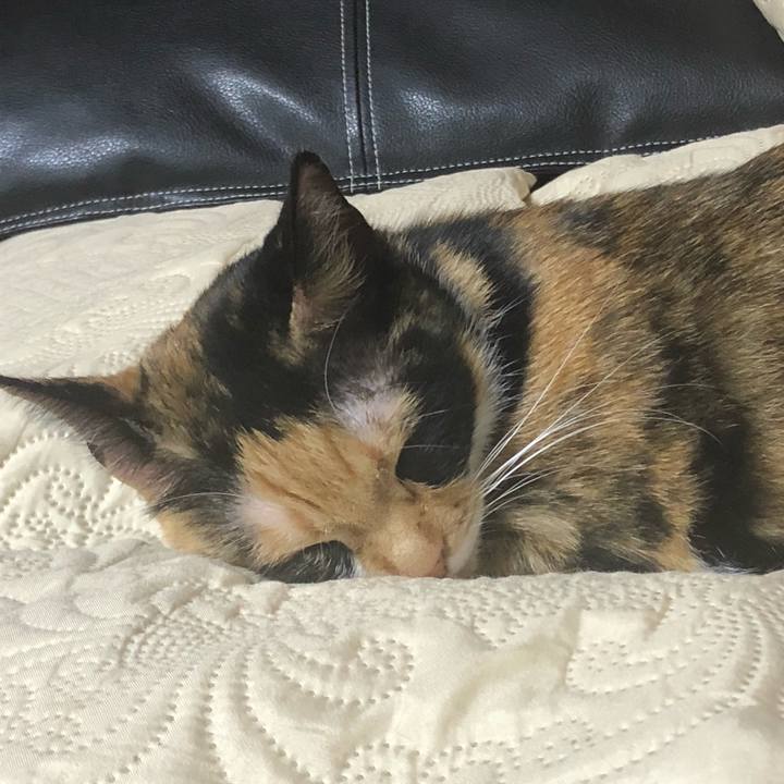 6ef6a837 4626 4fc1 bedf 576bff06dcc2 1575191710261