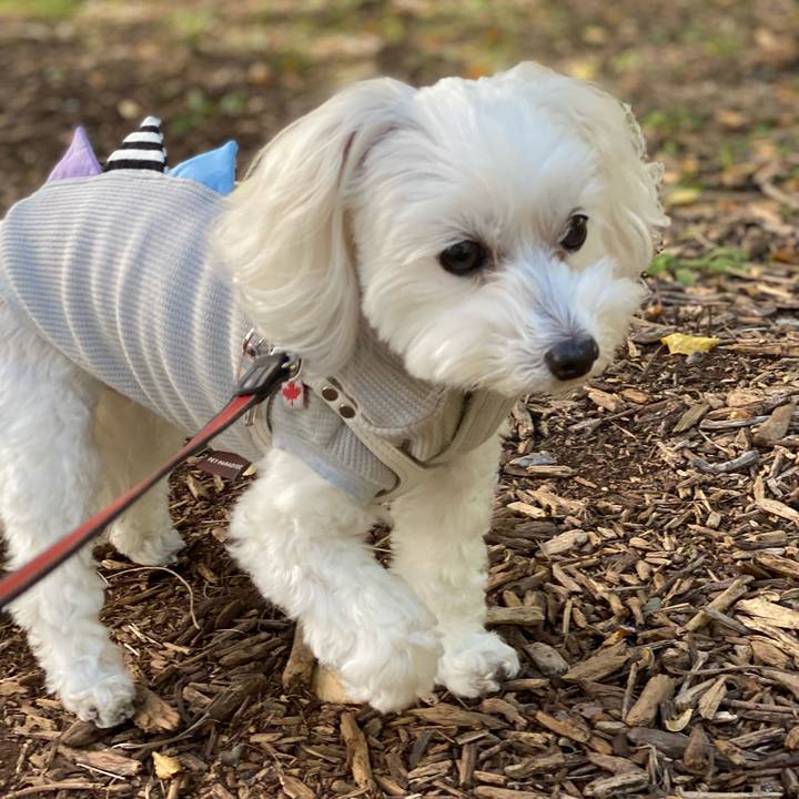 6ef6ce2b 0060 43d5 8c60 767741cc6813 1666870850840