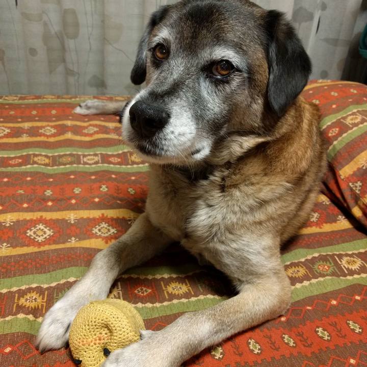 6ef6d02d 8299 40d0 86bc 5a2766f8d7db 1516974464030