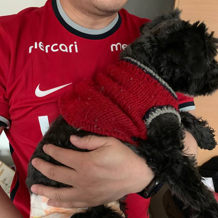 6ef708f6 775f 4a6f bc98 31c012f7305e 1645234490178