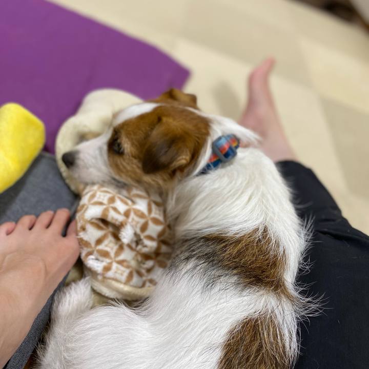 6ef72f98 88e2 43fd 87d4 1019b09cdeed 1663247521035