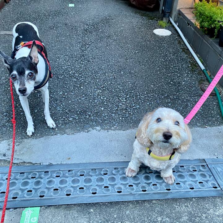 6ef77c3e ae1e 4373 9d58 1dbb296948a8 1634247377184