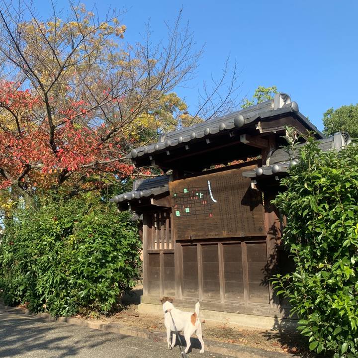 6ef78afc cf11 481e 9dc4 1b110a12ee0c 1541902959026