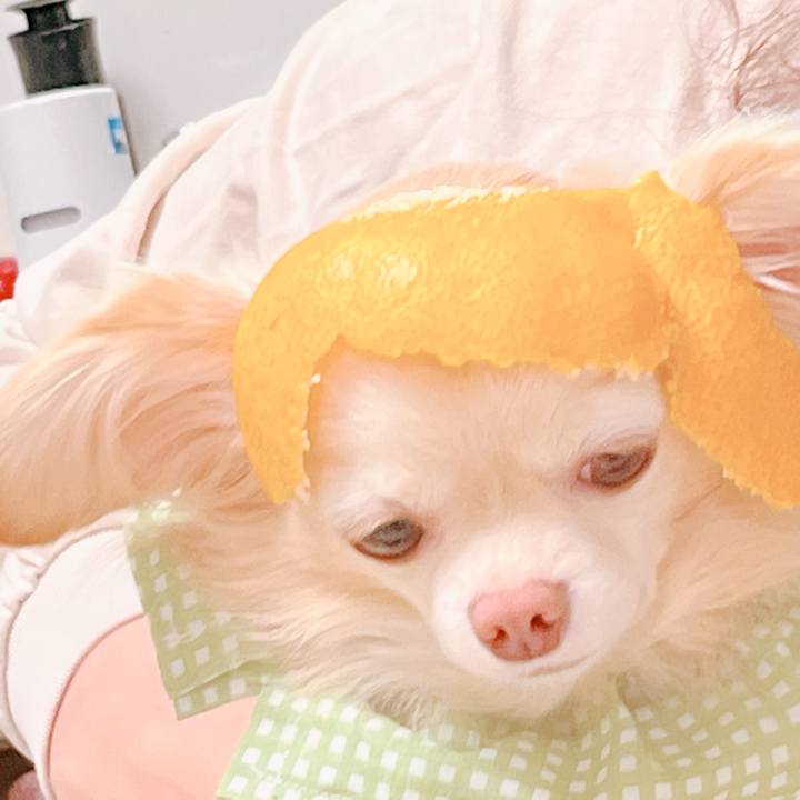 6ef79043 37b9 4433 85be 82560a5b9cb7 1668311084352