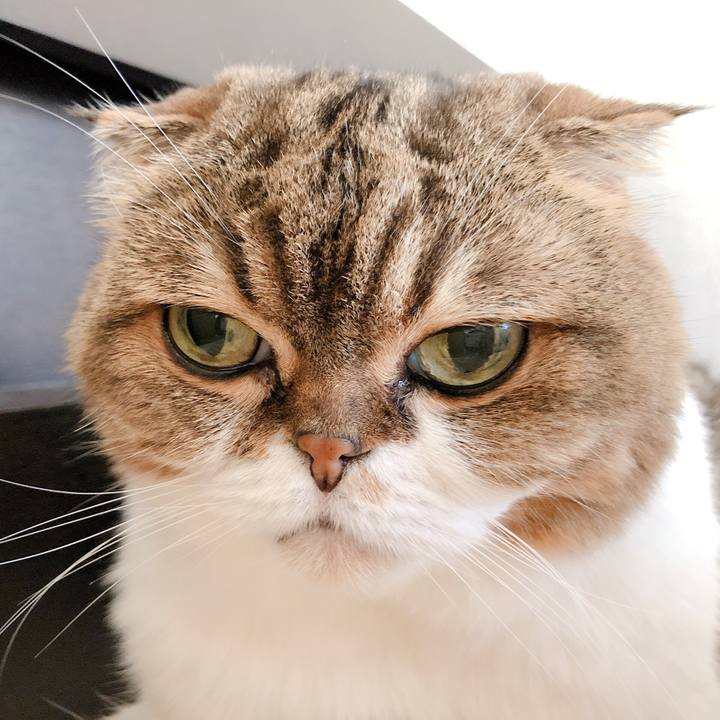 6ef7919f 28e3 4289 a12b 5a50b38a0a7a 1570075259776