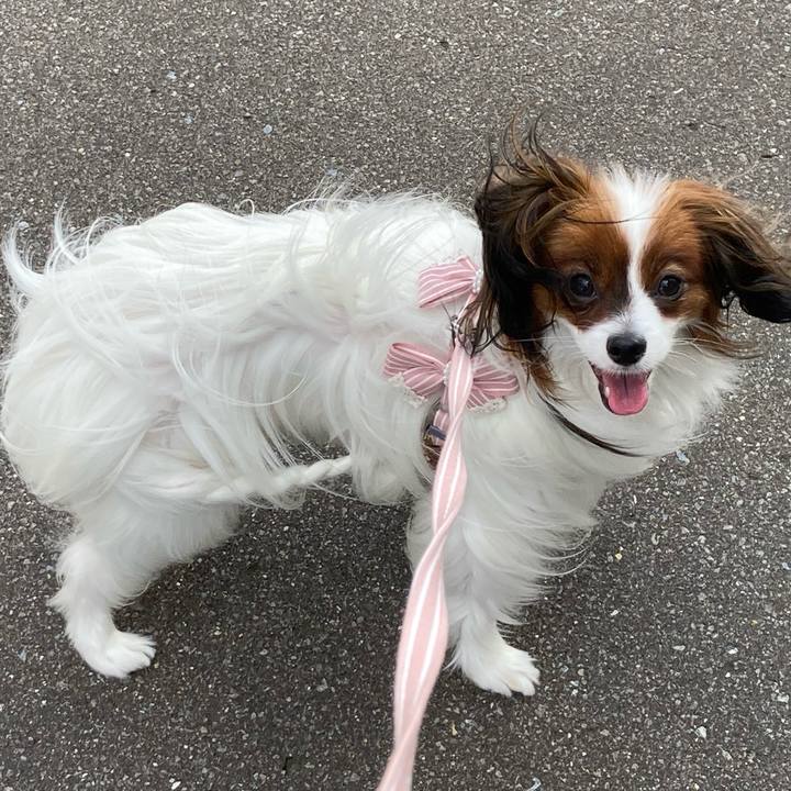 6ef79d51 b585 43c0 a9e9 8cab12c769f8 1632449289963