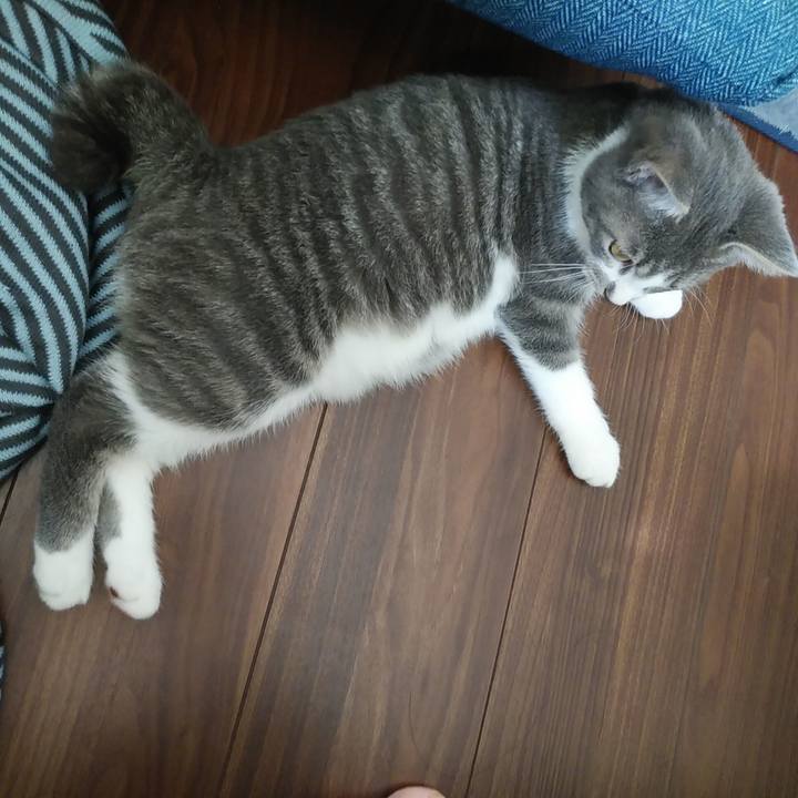 6ef7dfa9 c315 4c77 80b4 245d9b29da10 1568074409162