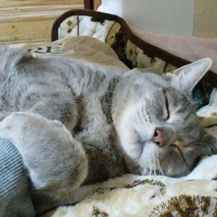 6ef7f9f2 fcb9 45ce bf01 139b66a6b564 1579619753308