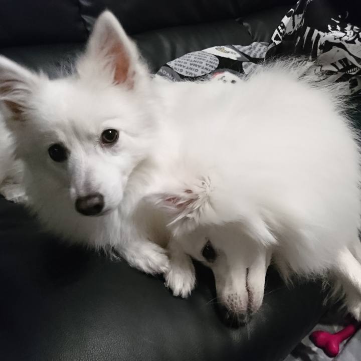 6ef801ae 751d 4017 8439 e0f2063ccbaa 1582962479038