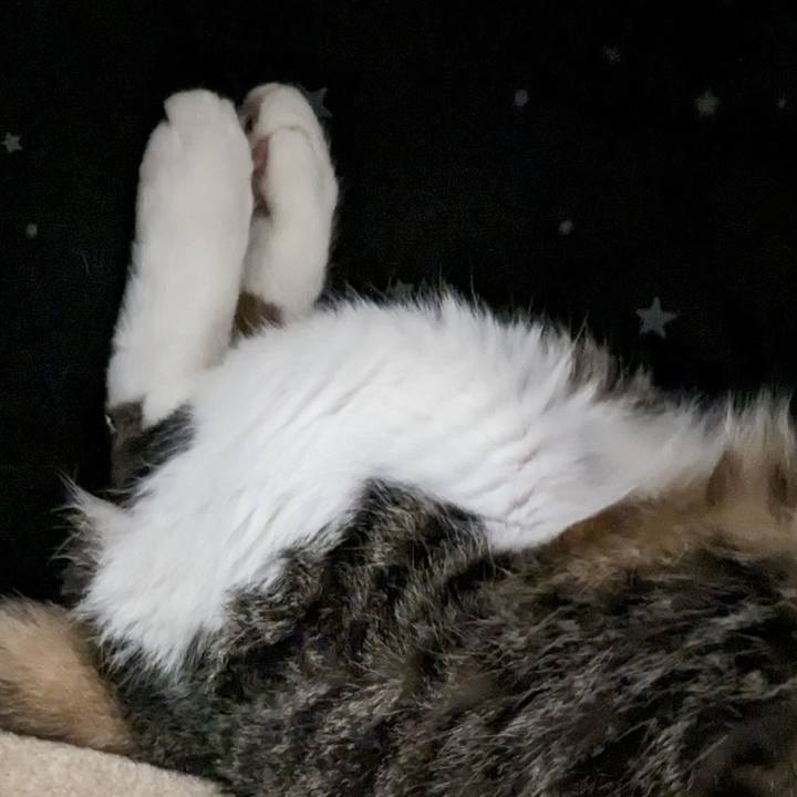 6ef882d5 5cd1 455c 8515 e1089e37e8a3 1691721343251