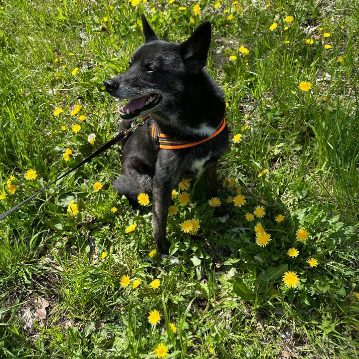 6ef8ab69 8bc3 42aa ab0d 8acdaa62c506 1743850407668